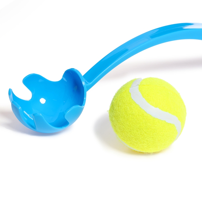 Песочный набор №2 &laquo;Пончик&raquo;: ведро, сито, совок, грабли, бросатель с мячом, кольцо, МИКС