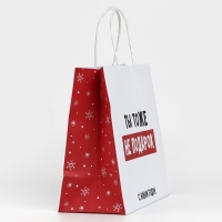 Пакет подарочный новогодний &laquo;Ты тоже не подарок&raquo;, 22 х 22 х 11 см