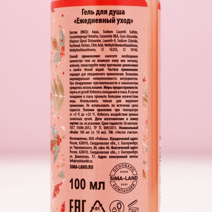 Подарочный набор косметики &laquo;Счастья в Новом Году!&raquo;, гель для душа 100 мл и бомбочка для ванны 40 г, ЧИСТОЕ СЧАСТЬЕ