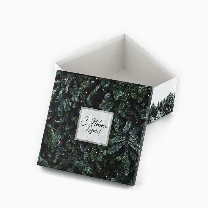 Набор подарочных коробк 5 в 1 &laquo;Снежная зима&raquo;, 14 х 14 х 8&ndash;22 х 22 х12 см, Новый год