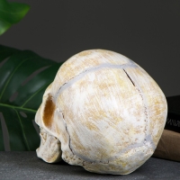 Копилка "Череп" кость, 16х13х22см Копилка "Череп" кость, 16х13х22см