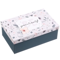 Набор коробок 10 в 1 "Поздравляю", Me To You