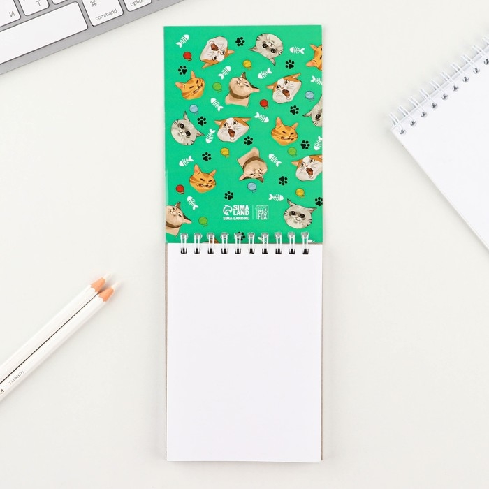 Скетчбук &laquo;Коты&raquo;, А6, 40 листов, 100 г/м