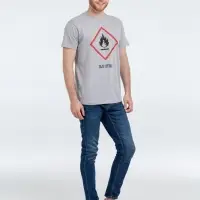 Футболка &laquo;Жар-птица&raquo;, серый меланж, размер L