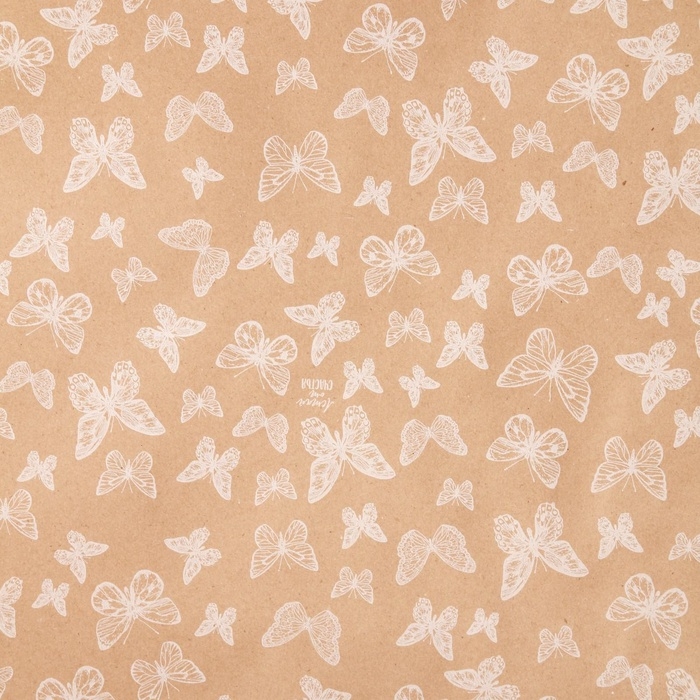 Бумага упаковочная крафт в рулоне «Легкость», 0,7 х 8 м Бумага упаковочная крафт в рулоне «Легкость», 0,7 х 8 м