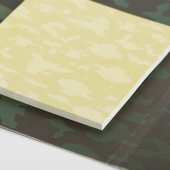 Подарочный набор &laquo;С Днем Защитника Отечества&raquo;: ручка пластик с фигурным клипом и стикеры