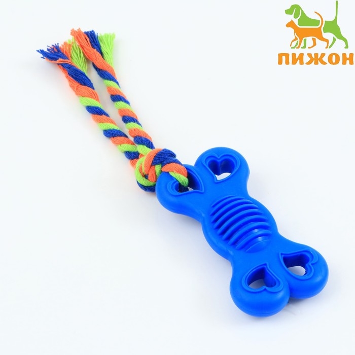 Игрушка жевательная с канатом "Косточка на привязи", 9,5 см, синяя