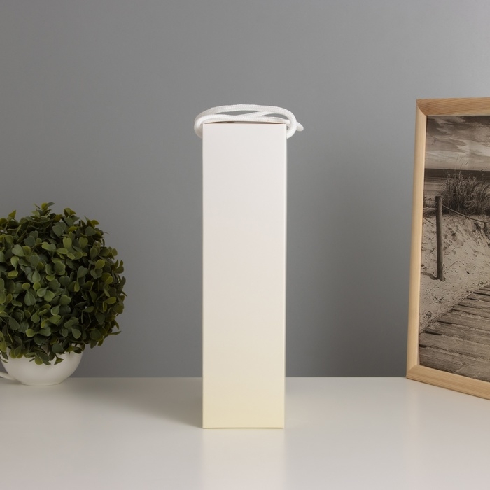 Ночник &laquo;Букет&raquo; (медведь) LED 3хAG10 8х17х29см