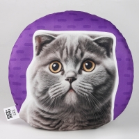 Подушка "Британец"