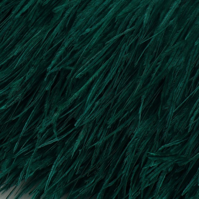 Тесьма с перьями страуса, 8-10 см, 5 &plusmn; 0,5 м, цвет изумрудный