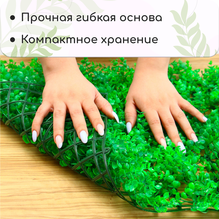 Декоративная панель, 60 × 40 см, «Самшит», Greengo Декоративная панель, 60 × 40 см, «Самшит», Greengo