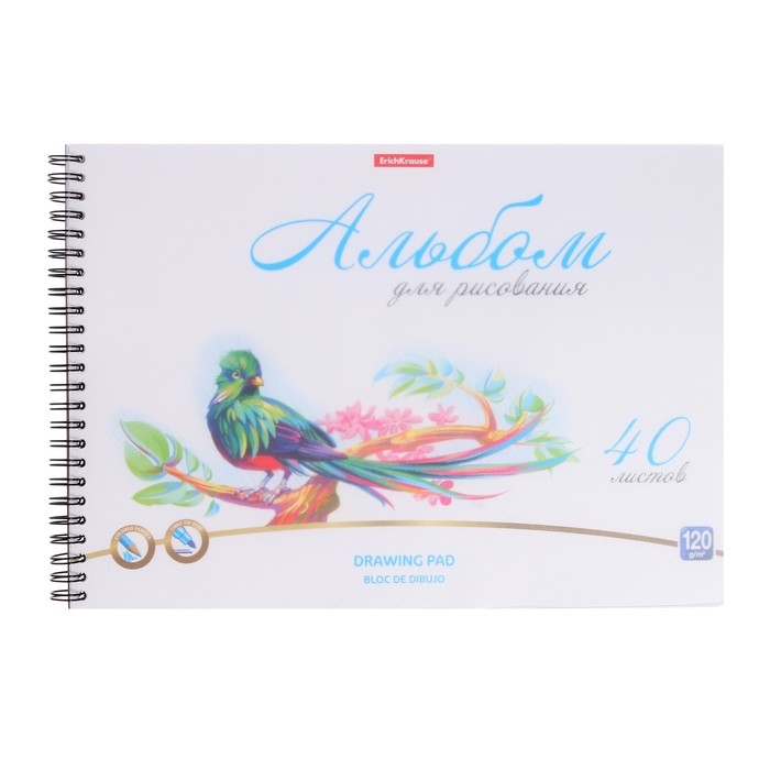 Альбом для рисования А4, 40 листов, блок 120 г/м&sup2;, на спирали, Erich Krause "Birds", пластиковая обложка, 100% белизна, перфорация на отрыв, твердая подложка