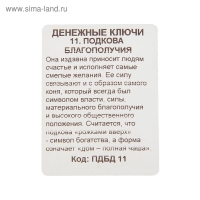 Брелок "Подкова благополучия", мед. сталь