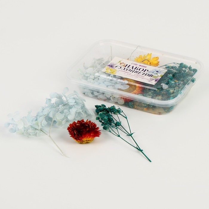 Набор сухоцветов &laquo;Северный рассвет&raquo;