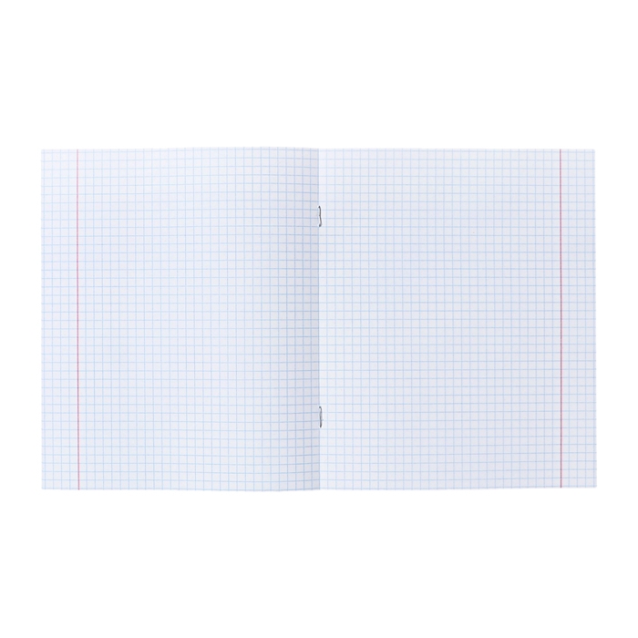 Комплект тетрадей из 10 штук (5 в клетку, 3 в косую линию, 2 в линию), 12 листов КПК "Зелёная обложка", блок офсет