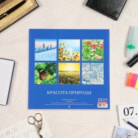 Календарь перекидной на скрепке "Красота природы" 2025 год, 6 листов, 29х29 см Календарь перекидной на скрепке "Красота природы" 2025 год, 6 листов, 29х29 см