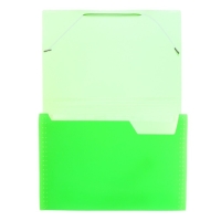 Папка картотека А4, Calligrata "Неон", 13 отделений, пластиковая, 700 мкм, салатовая, резинка в цвет