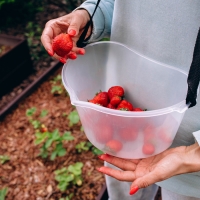 Ёмкость для сбора ягод, 3 л, прозрачная Ёмкость для сбора ягод, 3 л, прозрачная