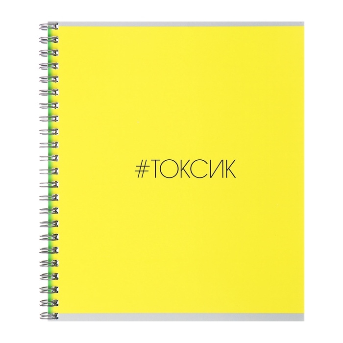 Тетрадь 48л кл на гребне #ТЕГИ, обл мел карт, ТВИН-лак, блок офсет МИКС