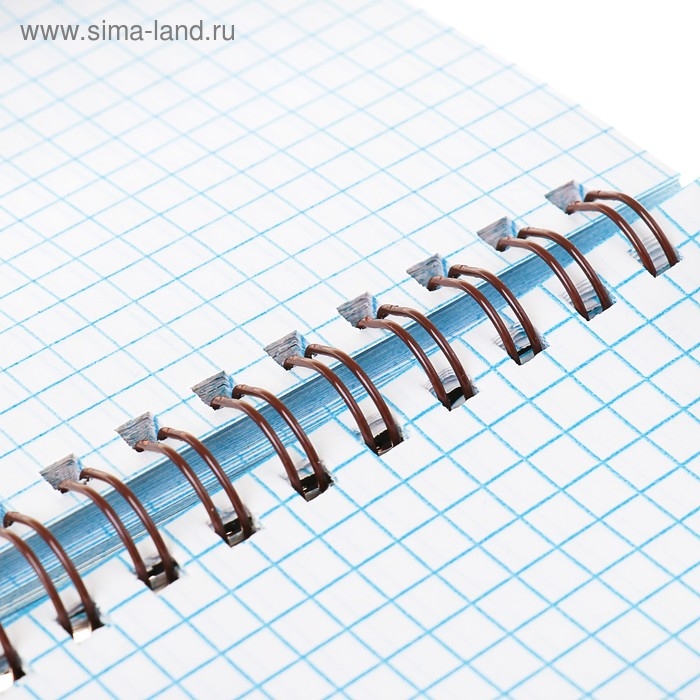 Блокнот А6, 80 листов в клетку на гребне Calligrata, пластиковая обложка, чёрный Блокнот А6, 80 листов в клетку на гребне Calligrata, пластиковая обложка, чёрный