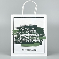 Пакет подарочный крафт &laquo;23 февраля&raquo;, 25 х 22 х 12 см