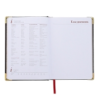 Ежедневник недатированный А5+, 136 листов Sidney Nebraska, твёрдая обложка, искусственная кожа, золотой срез, золотые уголки, чёрный