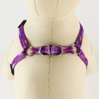 Комплект &laquo;Рыбки&raquo;, шлейка 24-36 см, поводок 120х1 см