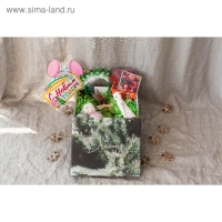 Коробка подарочная новогодняя складная &laquo;Dreams&raquo;, 31,2 х 25,6 х 16,1 см, Новый год