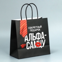 Пакет подарочный крафтовый, упаковка, «Альфа», 22 х 22 х 11 см Пакет подарочный крафтовый, упаковка, «Альфа», 22 х 22 х 11 см