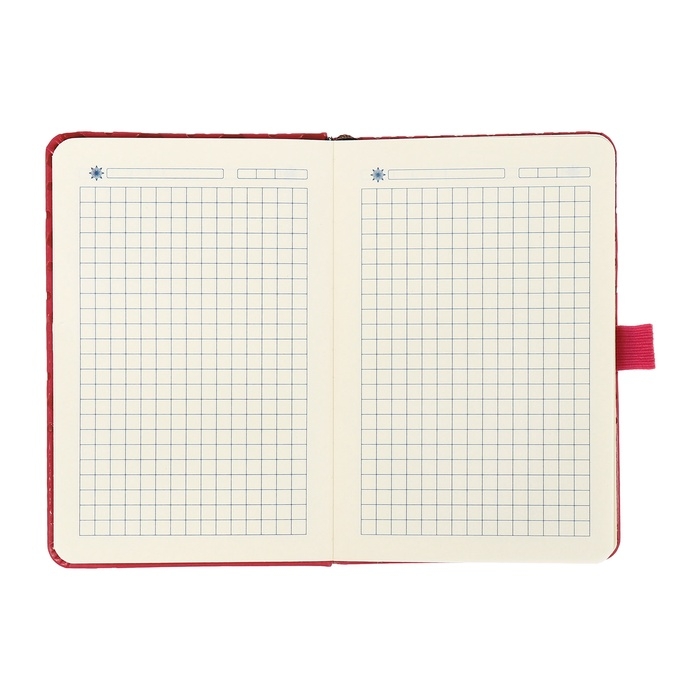 Ежедневник недатированный, формат А6, 100 листов, в клетку, обложка кожзам, на резинке, красный