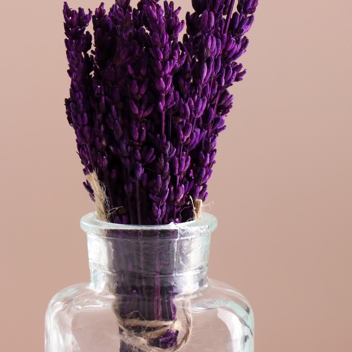 Набор сухоцветов "Лаванда", банч длина 15 (+/- 6 см), сиреневый