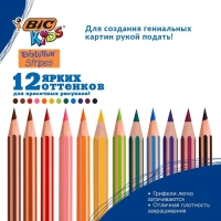 Карандаши цветные 12 цветов , BIC "Kids Evolution Stripes", пластиковые, детские Карандаши цветные 12 цветов , BIC "Kids Evolution Stripes", пластиковые, детские