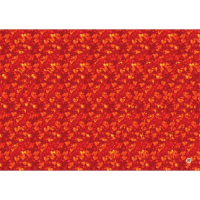 Альбом для тренировки зрения Альбом для тренировки зрения