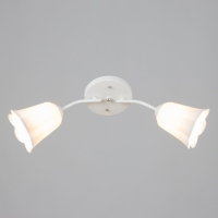 Люстра "Онлайн" (цветок) 2х15Вт Е27 МОДЕЛЬ: BR 00196 белый