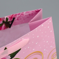 Пакет подарочный ламинированный, упаковка, &laquo;Воспитателю&raquo;, ML 21 х 25 х 8 см