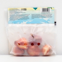 Тюльпан Триумф Дельта Рэд, р-р 11/12, 5 шт, Осень 2024 Тюльпан Триумф Дельта Рэд, р-р 11/12, 5 шт, Осень 2024