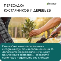 Кокосовое волокно, для мульчирования, 20 л, Greengo Кокосовое волокно, для мульчирования, 20 л, Greengo