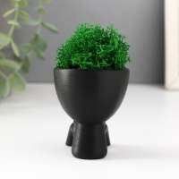 Кашпо бетонное мини "Мистер Грин" Кикадзару со мхом черный 5,5х6х6,5 см (мох зел. стабилиз) Кашпо бетонное мини "Мистер Грин" Кикадзару со мхом черный 5,5х6х6,5 см (мох зел. стабилиз)