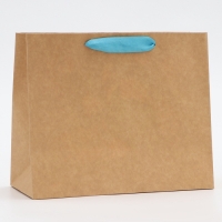 Пакет с PVC окном, "Мужской", 24 х 11 х 20 см Пакет с PVC окном, "Мужской", 24 х 11 х 20 см