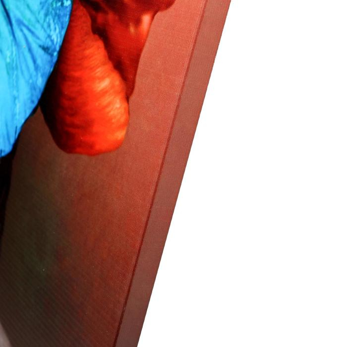 Картина на подрамнике "Голубая бабочка" 70*110