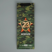 Пакет подарочный ламинированный под бутылку, упаковка, «23 февраля», 13 x 36 x 10 см Пакет подарочный ламинированный под бутылку, упаковка, «23 февраля», 13 x 36 x 10 см