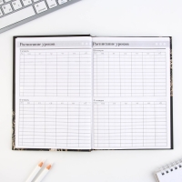 Набор &laquo;Золотой учитель&raquo;: ежедневник А5 160 листов, планинг 50 листов и ручка пластик