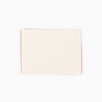 Пакет ламинированный двухсторонний &laquo;Пионы&raquo;, с тишью и открыткой, S, 12 х 15 х 5.5