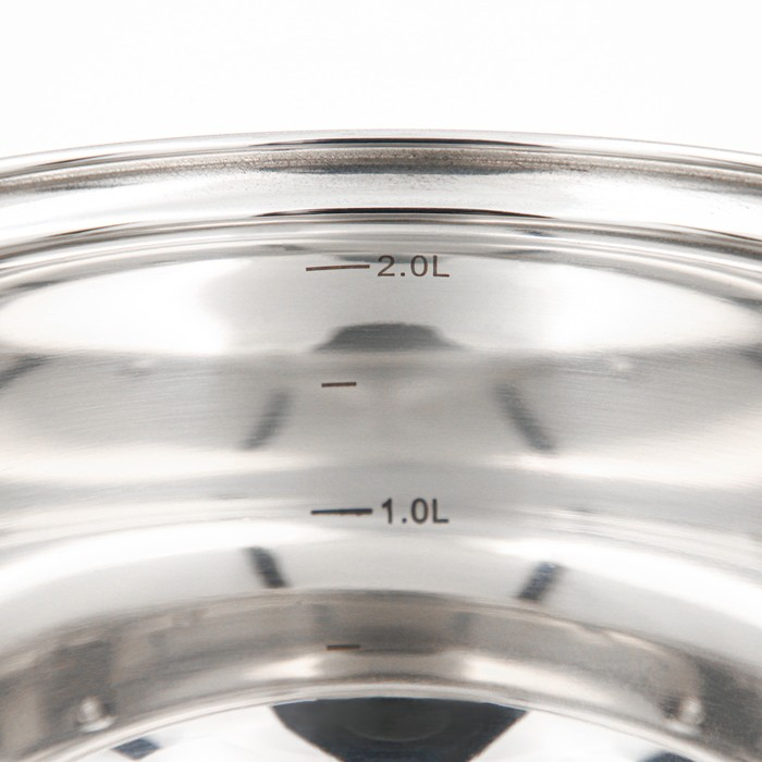 Кастрюля из нержавеющей стали Доляна &laquo;Вернер&raquo;, 2,5 л, d=18 см, с крышкой