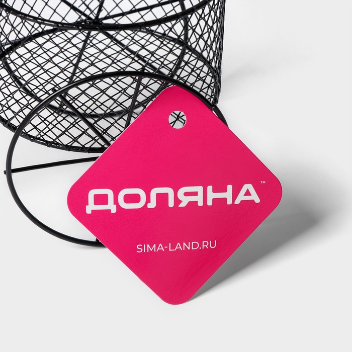 Подставка для цветов Доляна &laquo;Велосипед&raquo;, d=8 см, 18&times;10&times;13 см, цвет чёрный