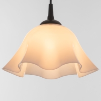 Люстра "Ирис" 1х15Вт Е27 МОДЕЛЬ: BR 00260 черный/белый 28х28х14см Люстра "Ирис" 1х15Вт Е27 МОДЕЛЬ: BR 00260 черный/белый 28х28х14см