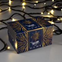 Гирлянда «Нить» 10 м, IP44, УМС, тёмная нить, 72 SMD-LED, свечение тёплое белое, 220 В Гирлянда «Нить» 10 м, IP44, УМС, тёмная нить, 72 SMD-LED, свечение тёплое белое, 220 В