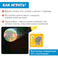 Развивающий набор «В поисках животных» Развивающий набор «В поисках животных»