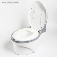 Горшок-унитаз, цвет белый/серый Горшок-унитаз, цвет белый/серый