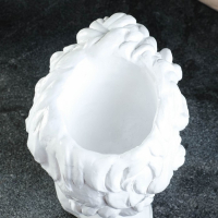 Кашпо - органайзер "Голова Давида" белая, 19х27х17см Кашпо - органайзер "Голова Давида" белая, 19х27х17см